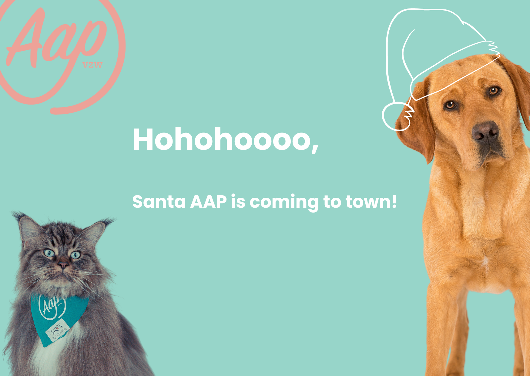 Hohohoooo, Santa AAP is coming to town!
